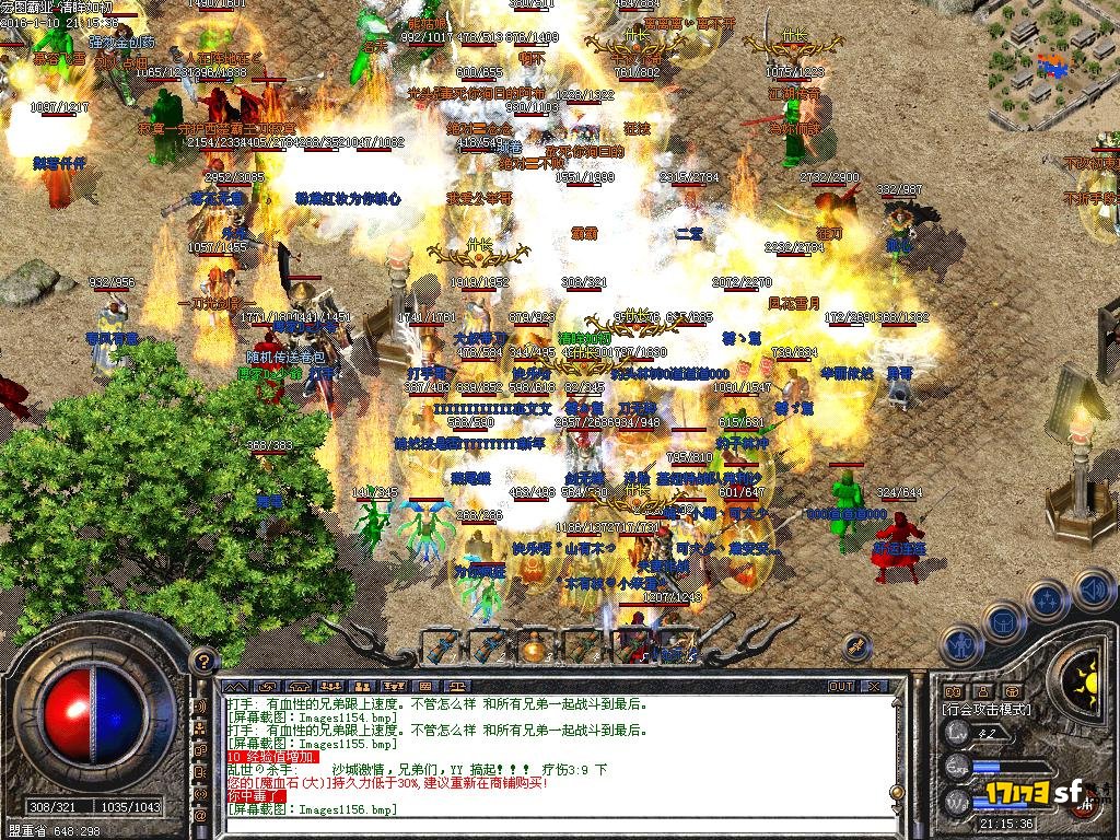 13.JPG