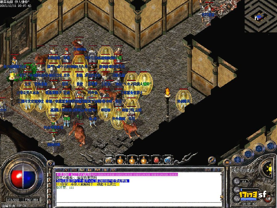 5.jpg