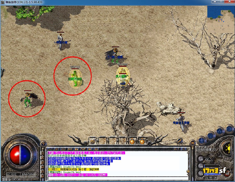 6.jpg